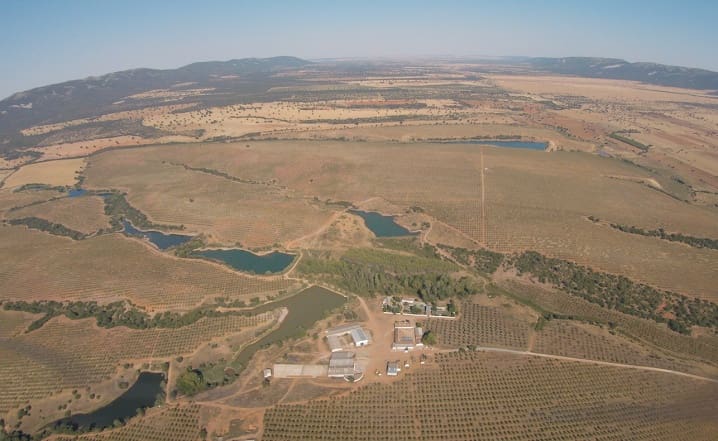 Finca/Landehus til salg i Toledo by - € 10.000.000 (Ref: 9494958)