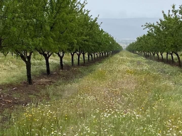 Finca/Landehus til salg i Toledo by - € 10.000.000 (Ref: 9494958)