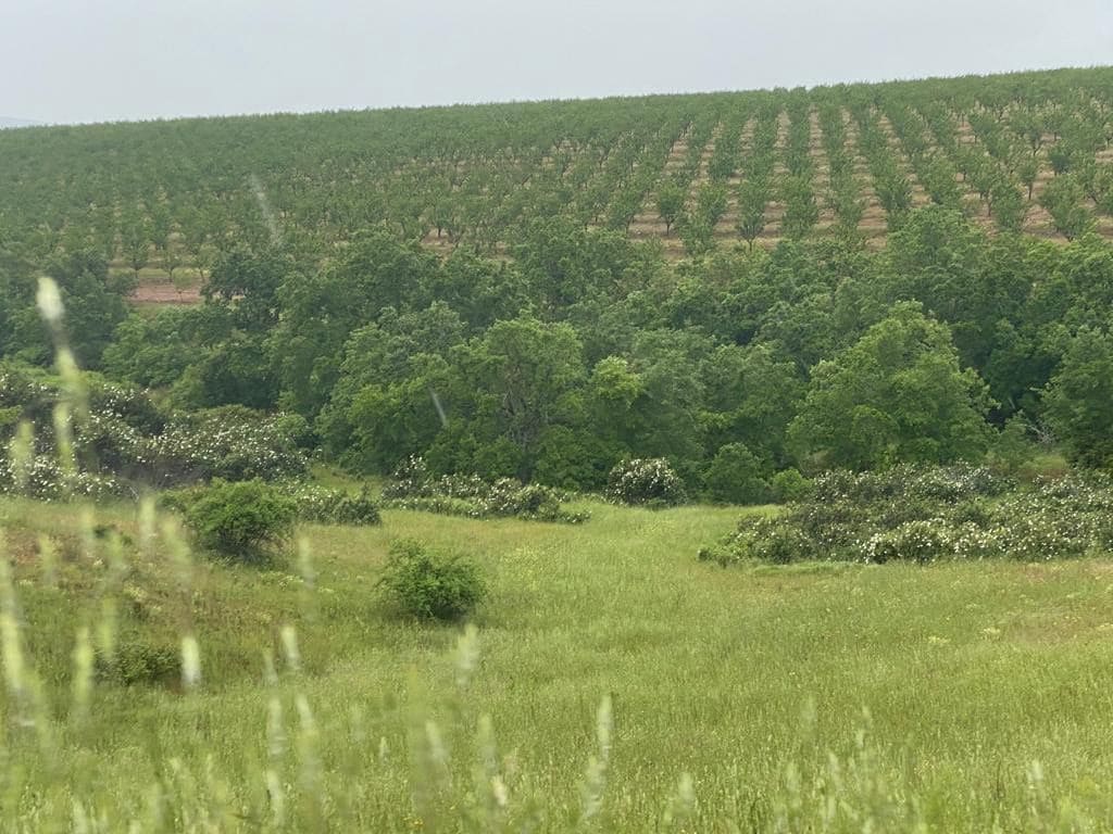 Finca/Landehus til salg i Toledo by - € 10.000.000 (Ref: 9494958)