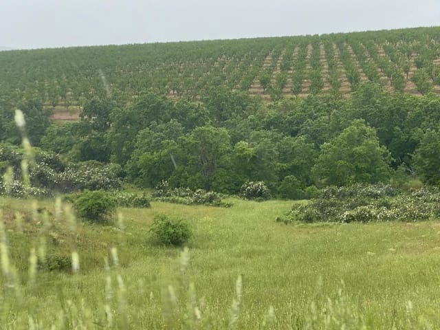 Finca/Landehus til salg i Toledo by - € 10.000.000 (Ref: 9494958)