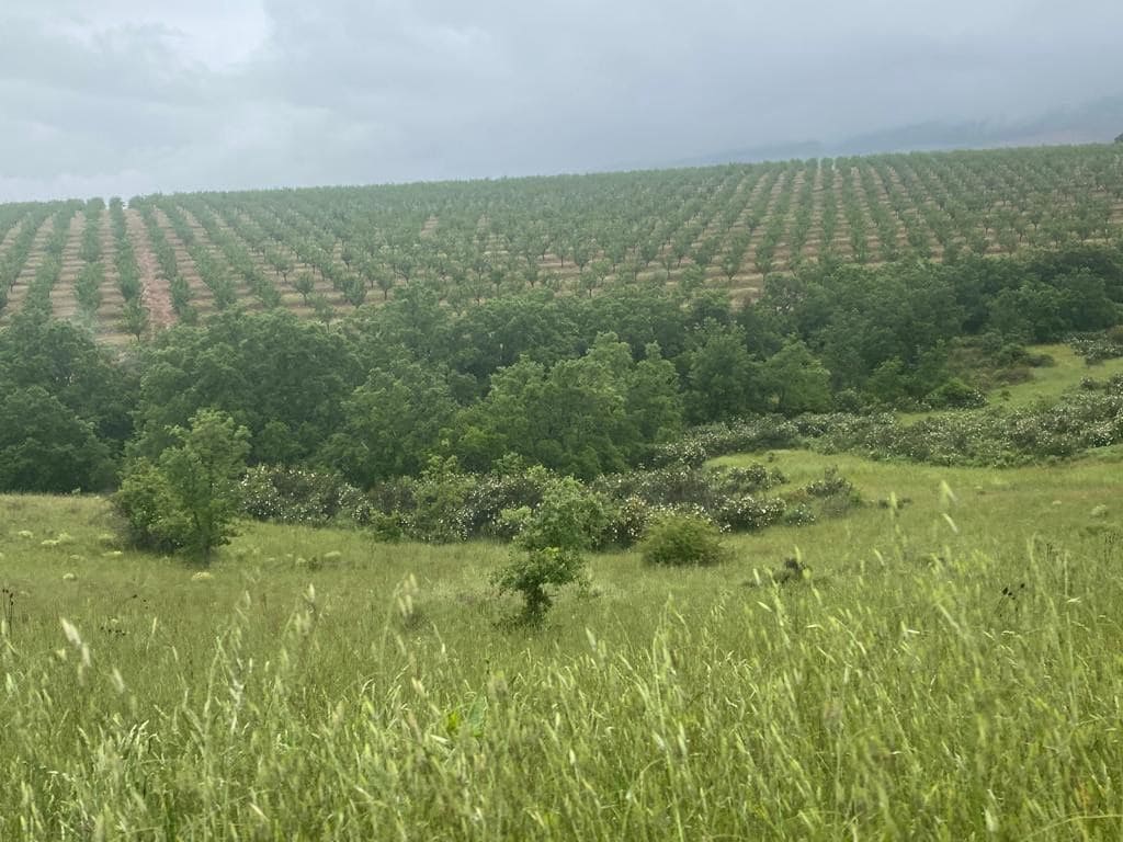 Finca/Landehus til salg i Toledo by - € 10.000.000 (Ref: 9494958)