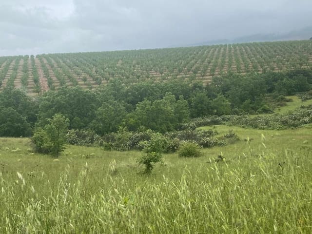 Finca/Landehus til salg i Toledo by - € 10.000.000 (Ref: 9494958)