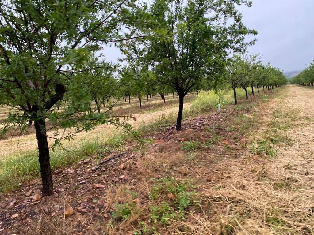 Finca/Landehus til salg i Toledo by - € 10.000.000 (Ref: 9494958)