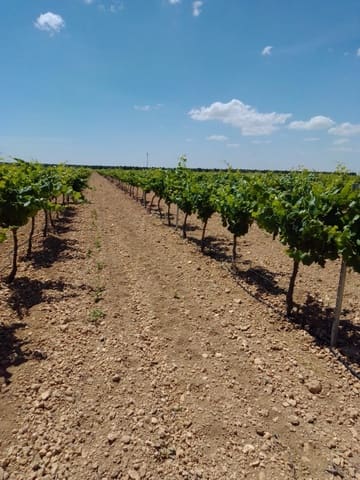 Finca/Country House for sale in Tomelloso - € 3,000,000 (Ref: 9494959)