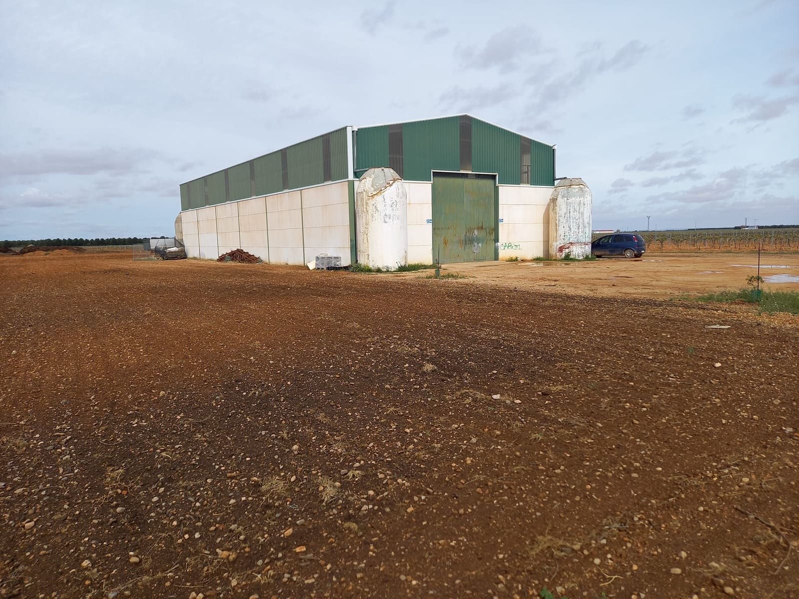 Finca/Country House for sale in Tomelloso - € 3,000,000 (Ref: 9494959)