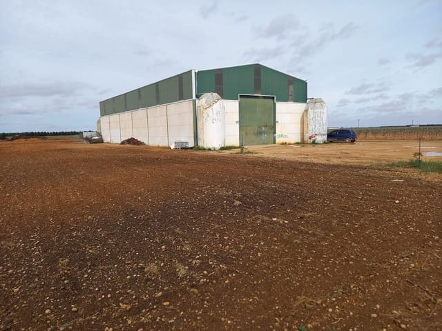 Finca/Country House for sale in Tomelloso - € 3,000,000 (Ref: 9494959)