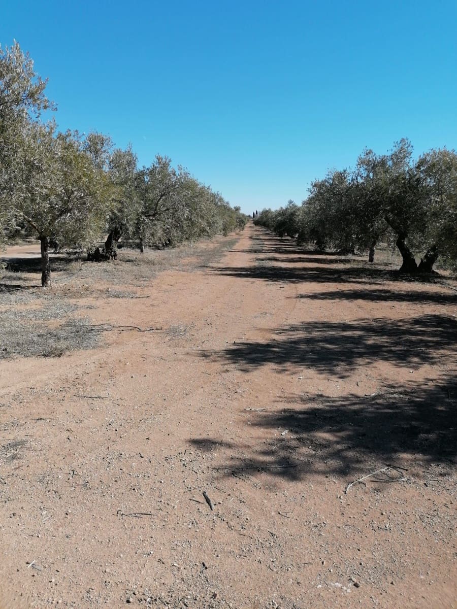 Finca/Country House for sale in Jaen city - € 7,000,000 (Ref: 9494961)