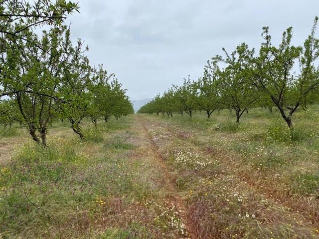 Finca/Landehus til salg i Toledo by - € 9.000.000 (Ref: 9494962)