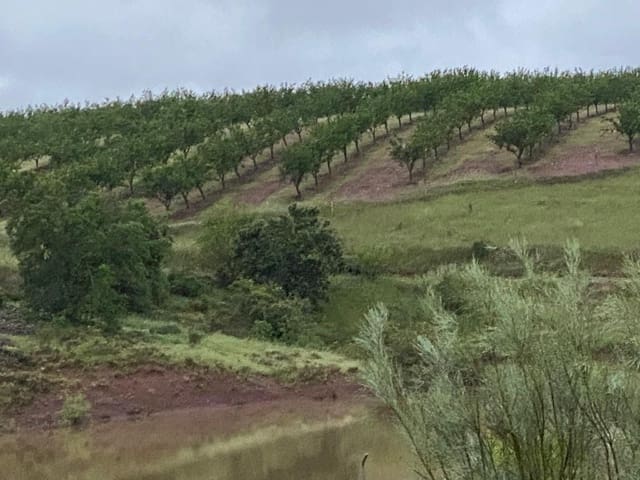 Finca/Landehus til salg i Toledo by - € 9.000.000 (Ref: 9494962)