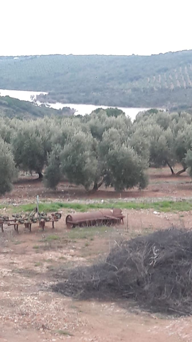 Finca/Country House for sale in Jaen city - € 1,600,000 (Ref: 9494963)