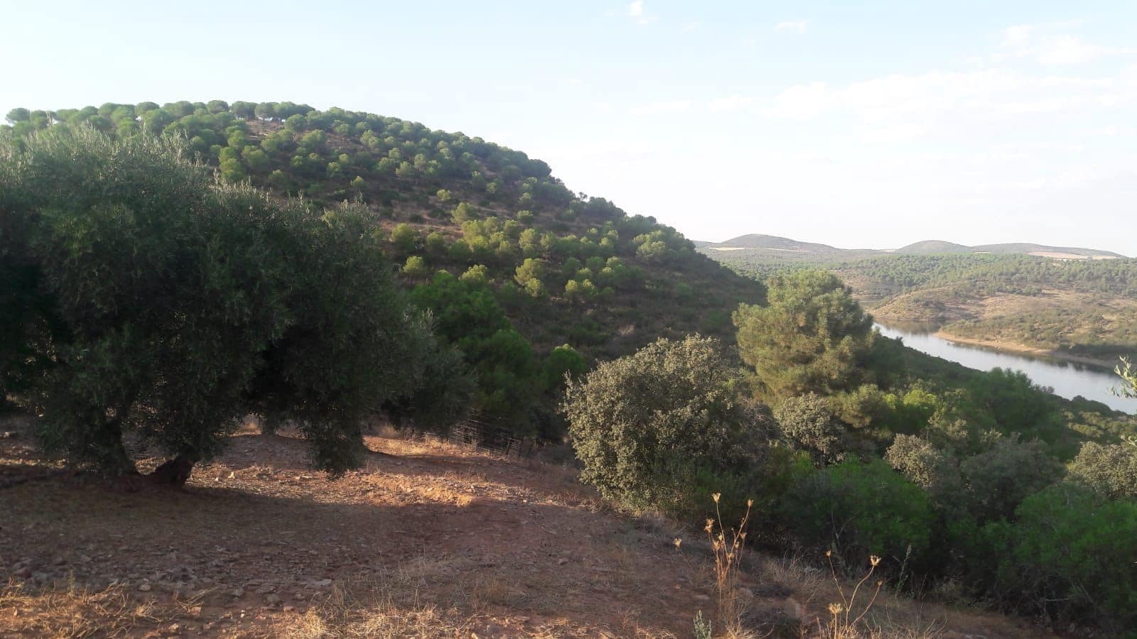 Finca/Country House for sale in Jaen city - € 1,600,000 (Ref: 9494963)