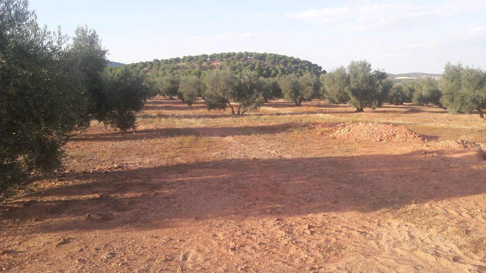 Finca/Country House for sale in Jaen city - € 1,600,000 (Ref: 9494963)