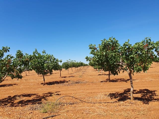 Finca/Country House for sale in Toledo city - € 1,300,000 (Ref: 9494964)