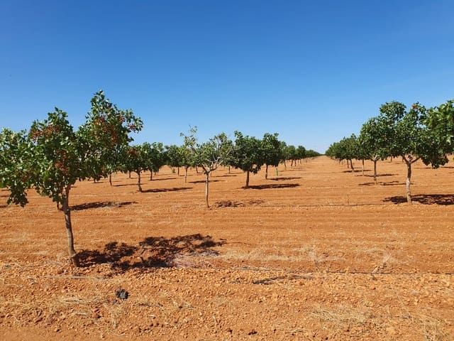 Finca/Country House for sale in Toledo city - € 1,300,000 (Ref: 9494964)