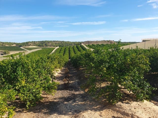 Finca/Landehus til salg i Montepinar - La Aparecida - Raiguero, Orihuela - € 13.000.000 (Ref: 9494966)