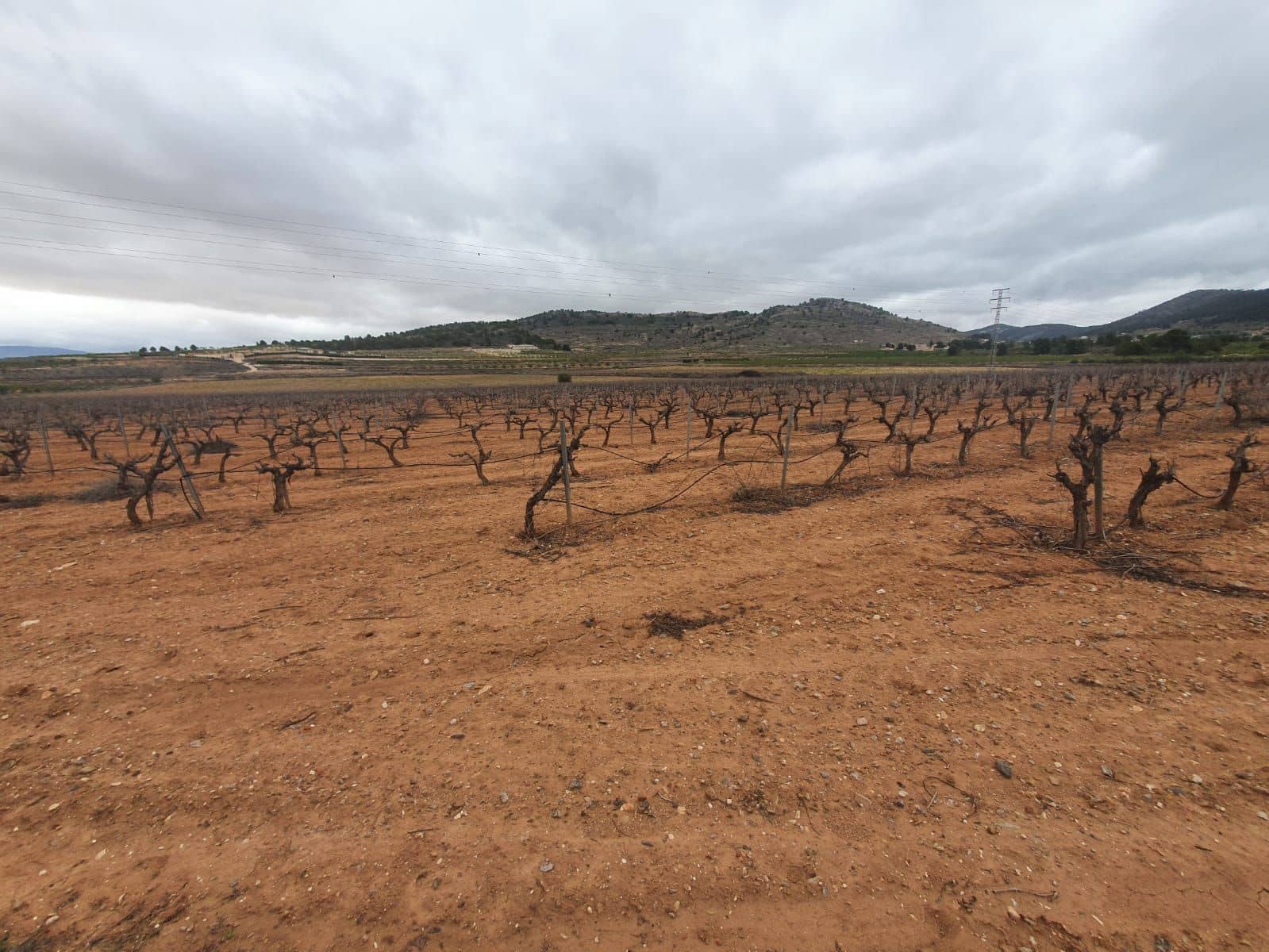 Finca/Country House for sale in Pinoso - € 1,500,000 (Ref: 9494967)