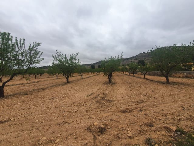 Finca/Hus på landet till salu i Pinoso - 1 500 000 € (Ref: 9494967)