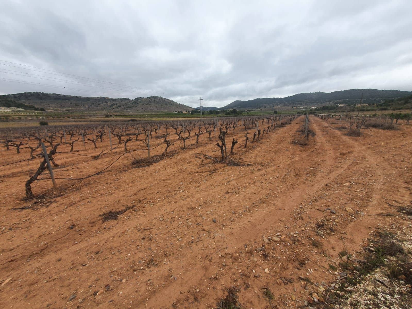 Finca/Country House for sale in Pinoso - € 1,500,000 (Ref: 9494967)