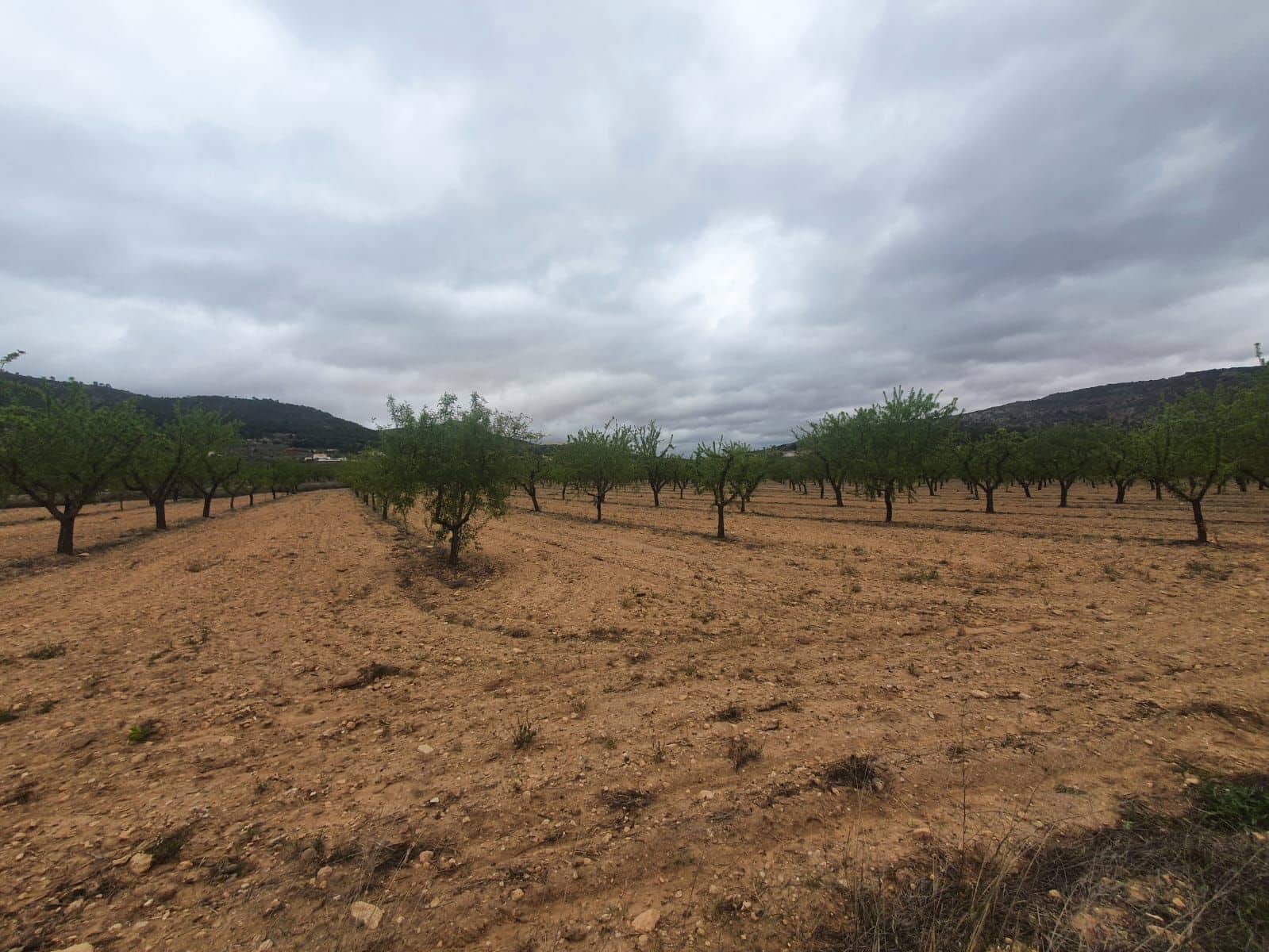 Finca/Country House for sale in Pinoso - € 1,500,000 (Ref: 9494967)