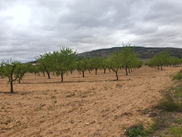 Finca/Hus på landet till salu i Pinoso - 1 500 000 € (Ref: 9494967)