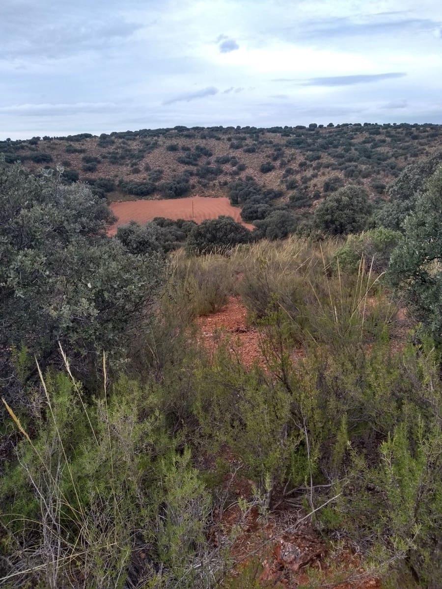 Maalaistalo myytävänä paikassa El Bonillo - 2 300 000 € (Ref: 9494968)