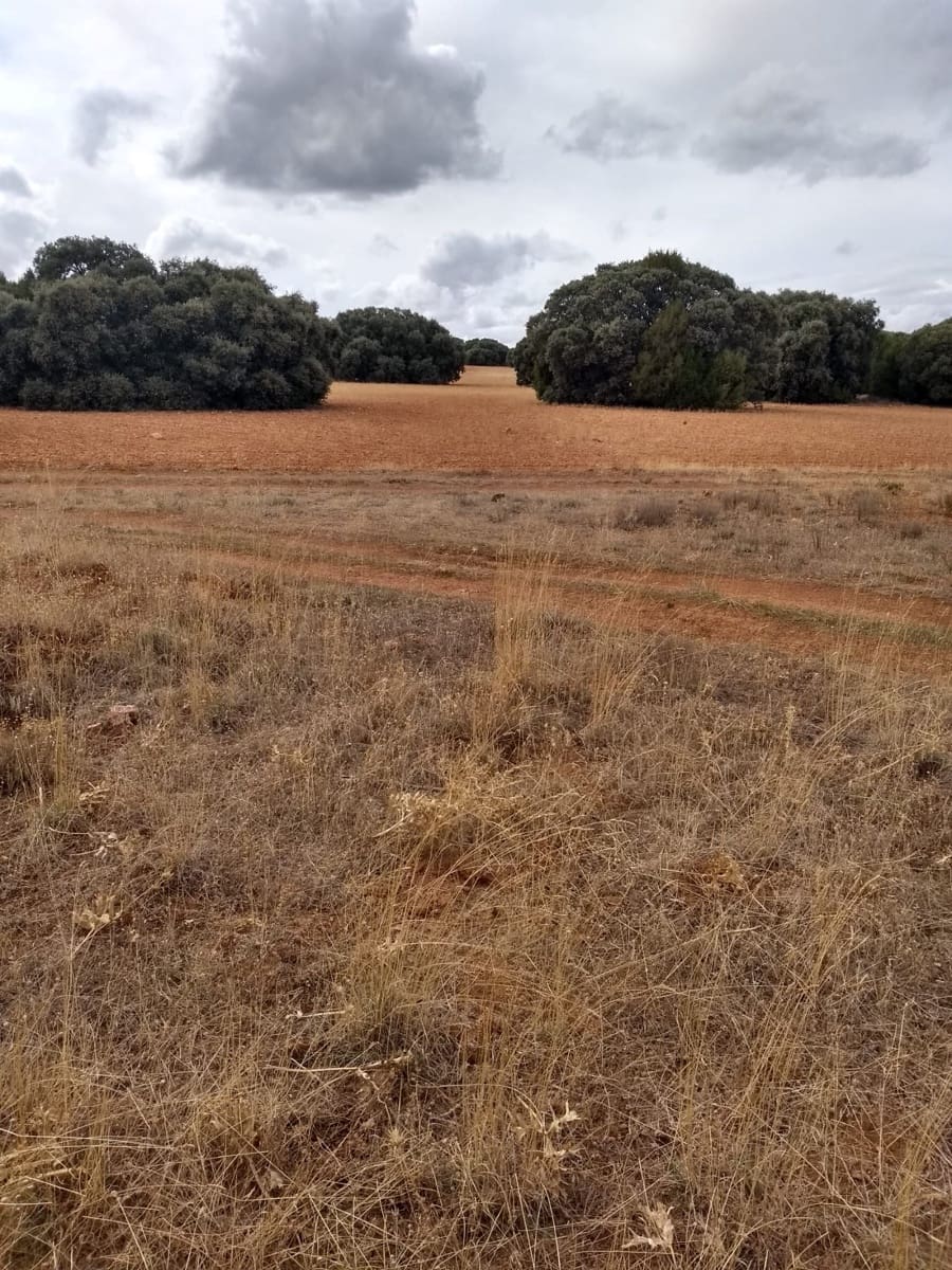 Maalaistalo myytävänä paikassa El Bonillo - 2 300 000 € (Ref: 9494968)