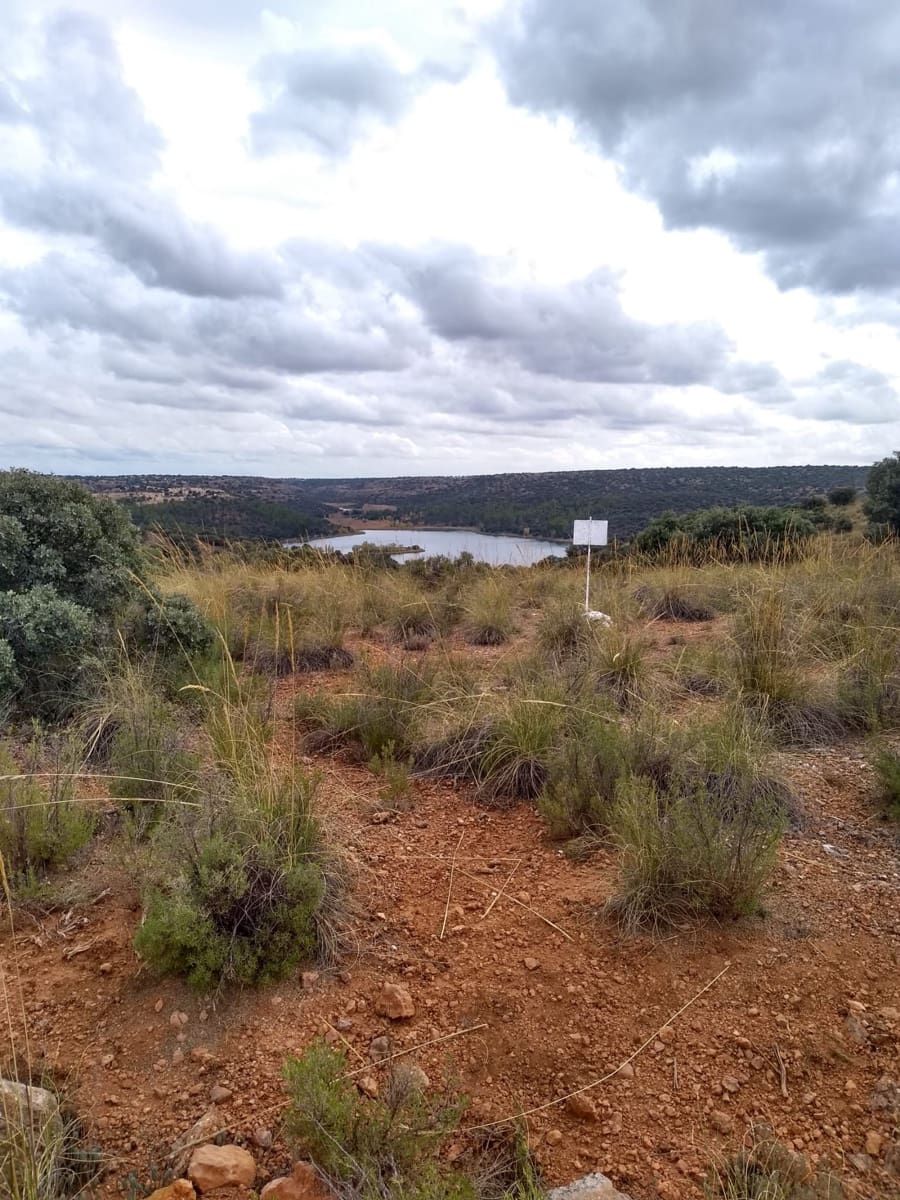 Maalaistalo myytävänä paikassa El Bonillo - 2 300 000 € (Ref: 9494968)