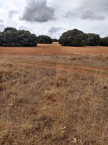 Finca/Hus på landet till salu i El Bonillo - 2 300 000 € (Ref: 9494968)