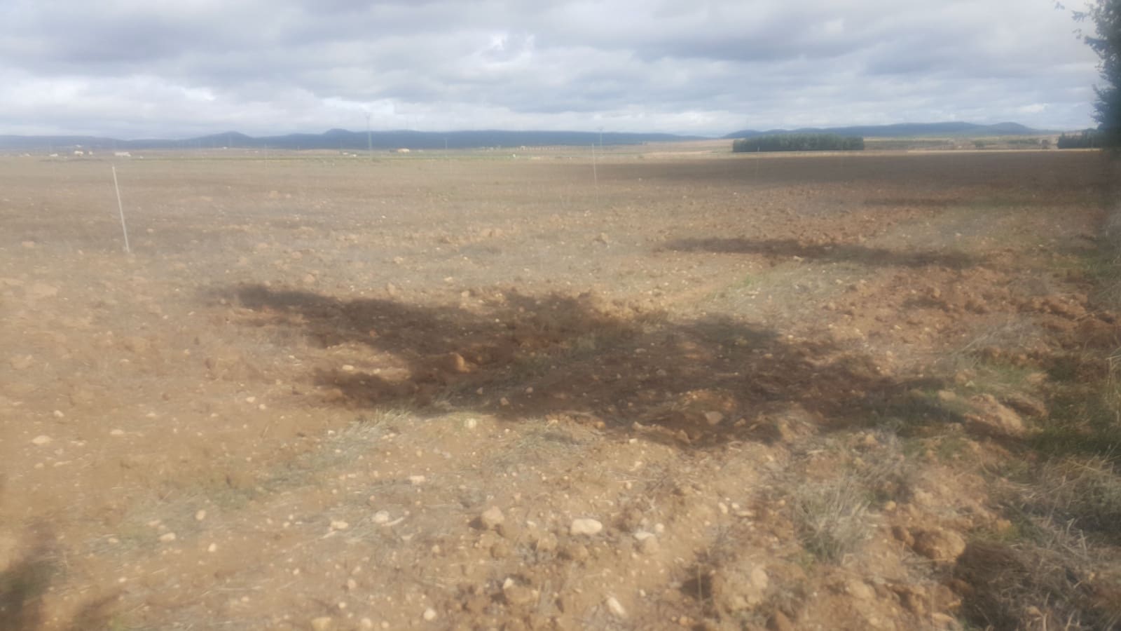 Finca/Country House for sale in Huelva city - € 20,000,000 (Ref: 9494969)