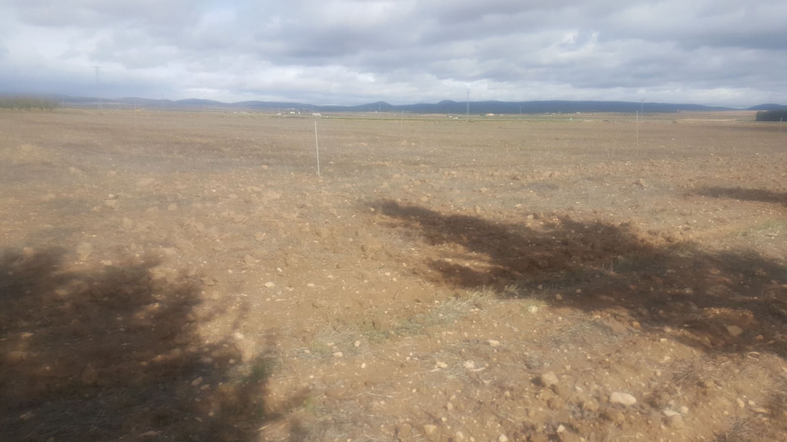 Finca/Country House for sale in Huelva city - € 20,000,000 (Ref: 9494969)