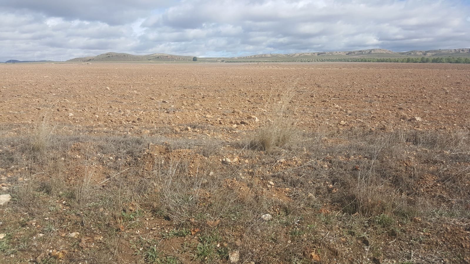 Finca/Country House for sale in Huelva city - € 20,000,000 (Ref: 9494969)