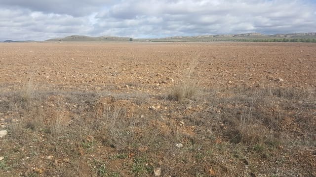 Finca/Country House for sale in Huelva city - € 20,000,000 (Ref: 9494969)