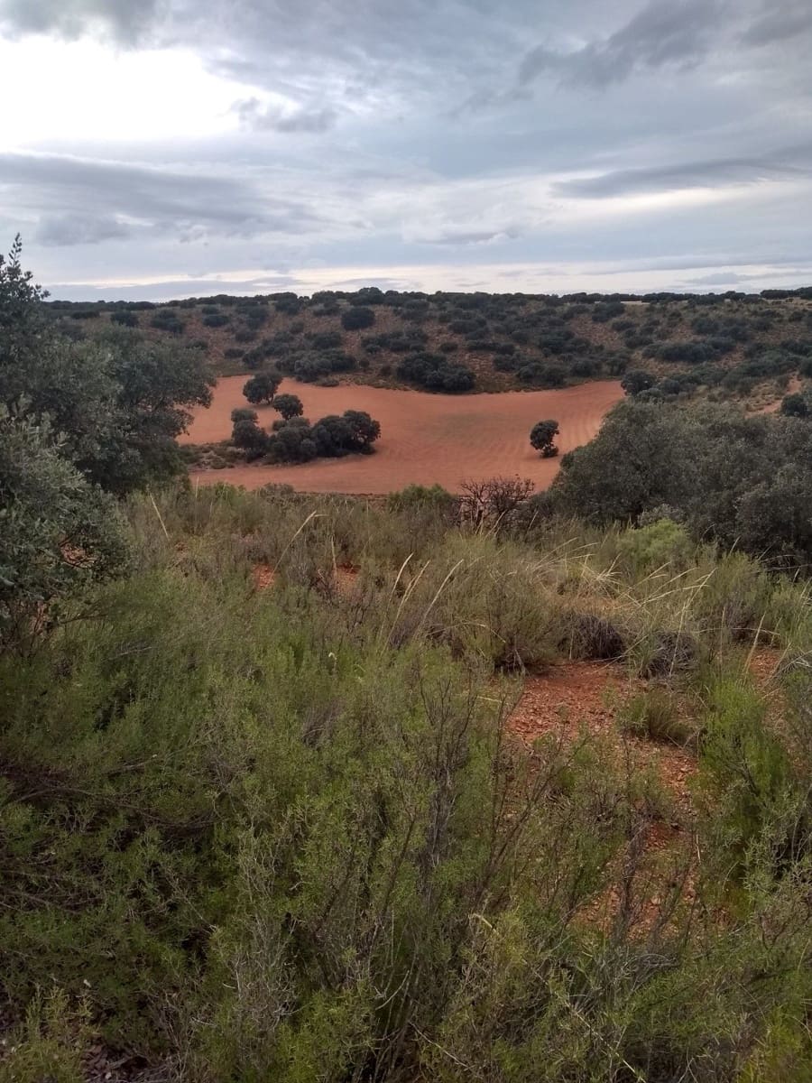 Finca/Country House for sale in Albacete city - € 37,000,000 (Ref: 9494971)