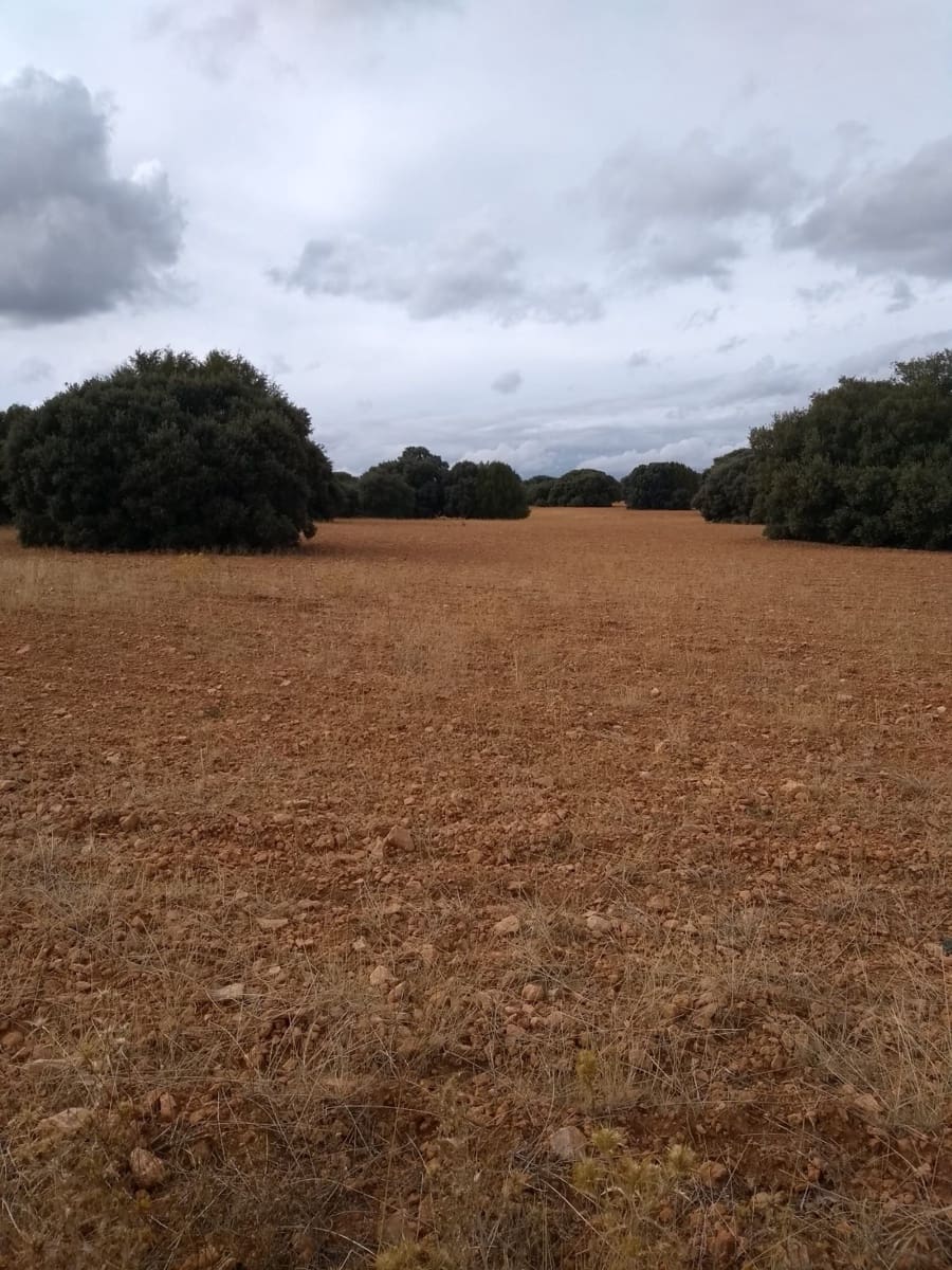 Finca/Country House for sale in Albacete city - € 37,000,000 (Ref: 9494971)