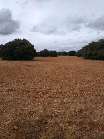 Finca/Country House for sale in Pedanías, Albacete city - € 37,000,000 (Ref: 9494971)