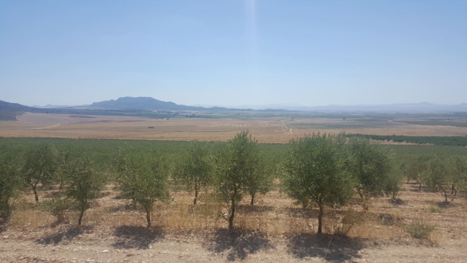 Finca/Country House for sale in Tobarra - € 8,000,000 (Ref: 9494972)