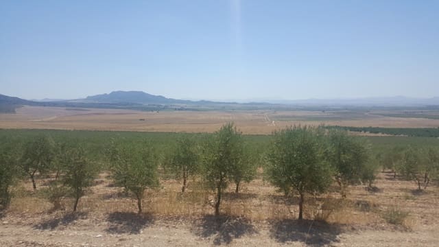 Finka/Dom wiejski na sprzedaż w Tobarra - 8 000 000 € (Ref: 9494972)