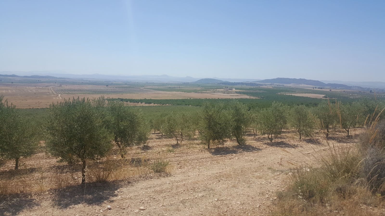 Finca/Country House for sale in Tobarra - € 8,000,000 (Ref: 9494972)