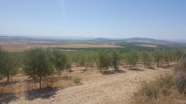 Finka/Dom wiejski na sprzedaż w Tobarra - 8 000 000 € (Ref: 9494972)