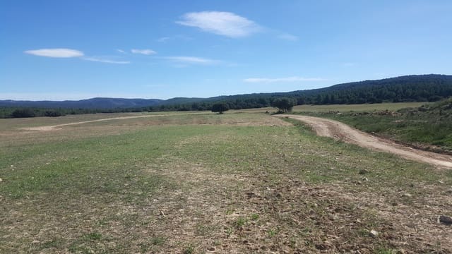 Finca/Country House for sale in Villanueva de la Fuente - € 10,000,000 (Ref: 9494974)