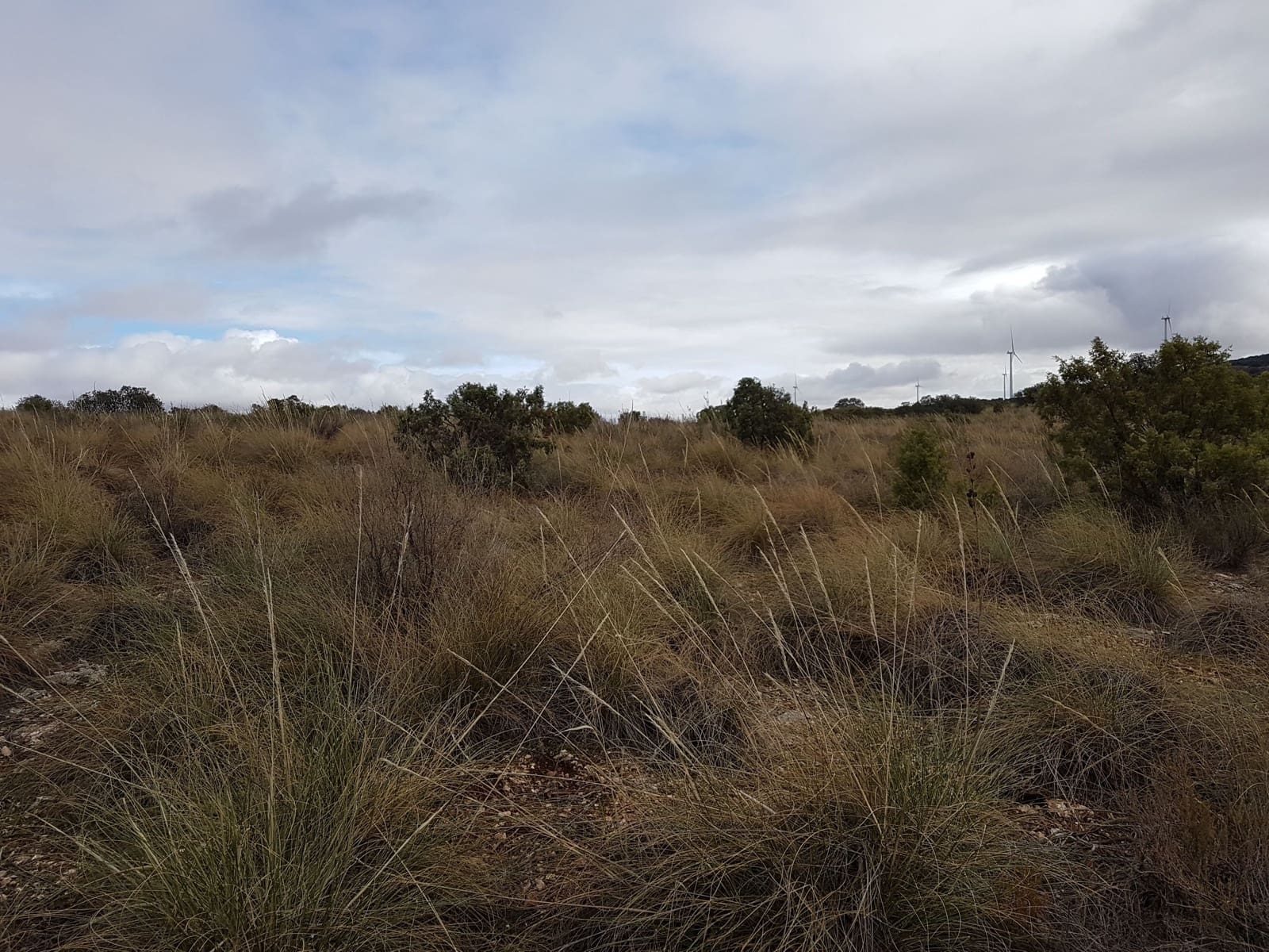 Finca/Country House for sale in Ciudad Real city - € 7,500,000 (Ref: 9494977)