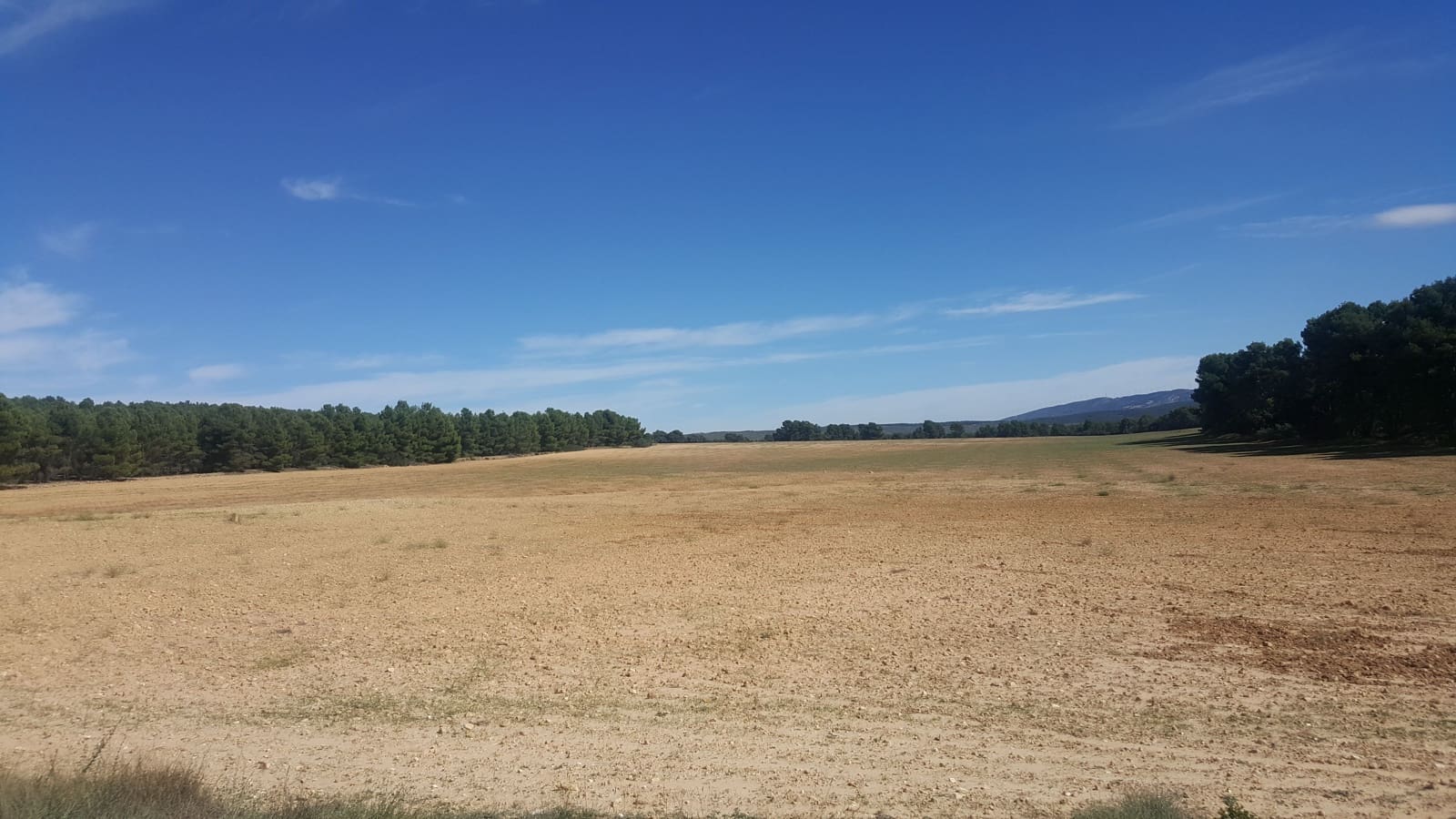 Finca/Landgut zu verkaufen in Ciudad Real Stadt - 7.000.000 € (Ref: 9494978)
