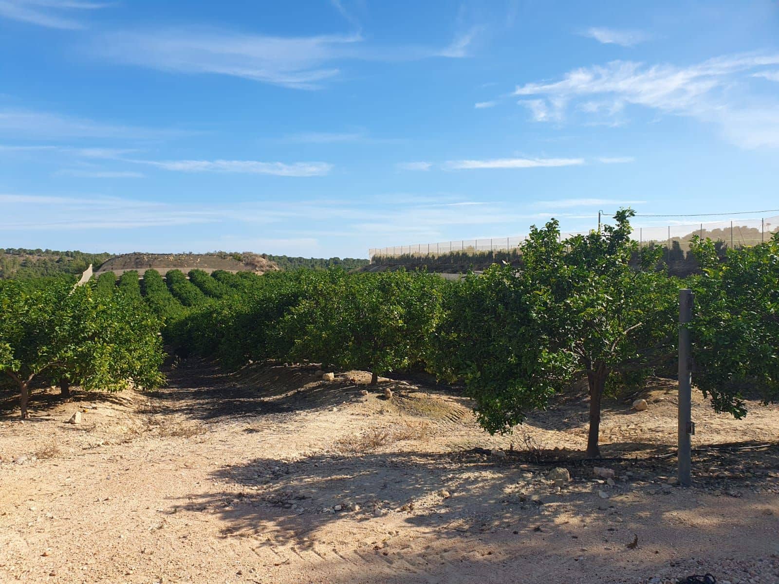 Finca/Country House for sale in Puente Tocinos - € 75,000 (Ref: 9494981)