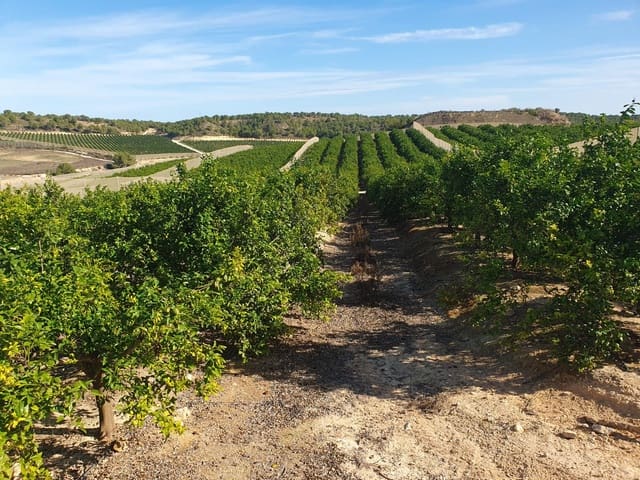 Finca/Country House for sale in Puente Tocinos, Murcia city - € 75,000 (Ref: 9494981)