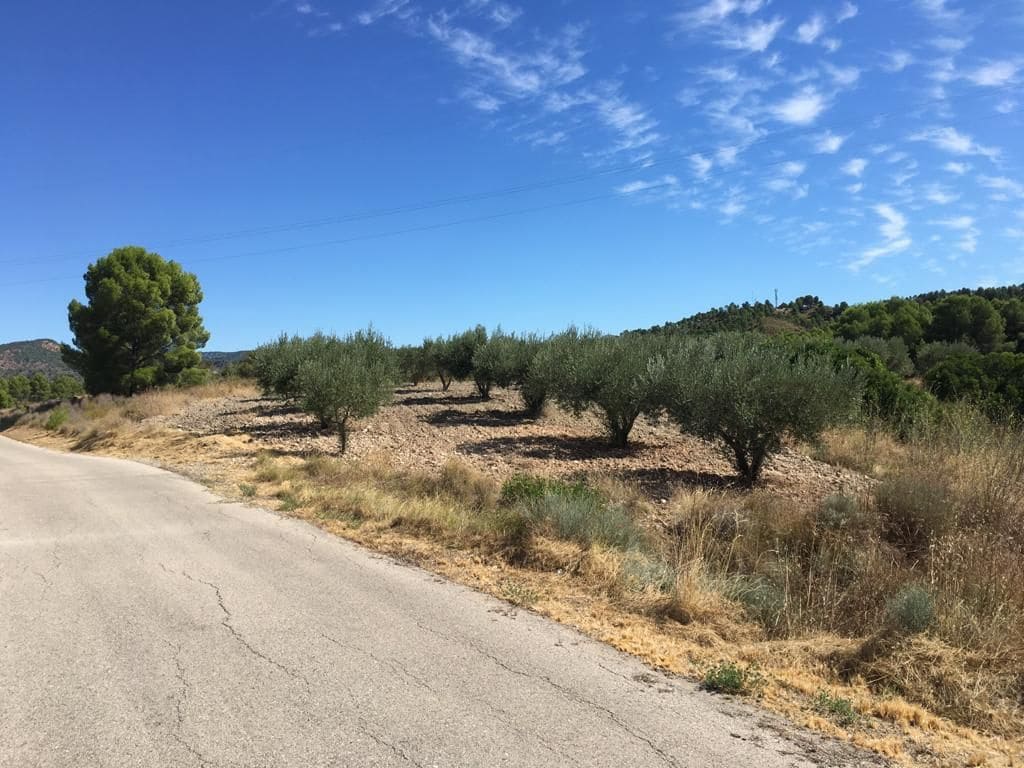 Finca/Country House for sale in Cofrentes - € 45,000 (Ref: 9494982)