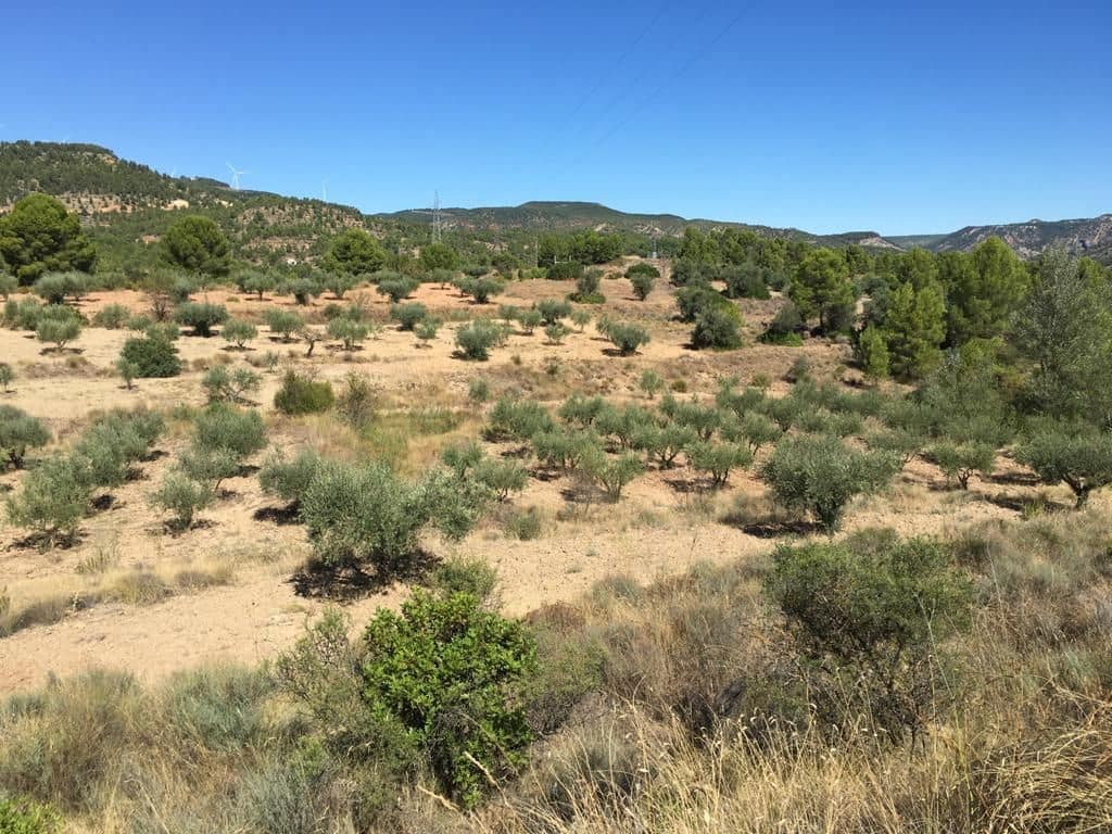 Finca/Country House for sale in Cofrentes - € 45,000 (Ref: 9494982)