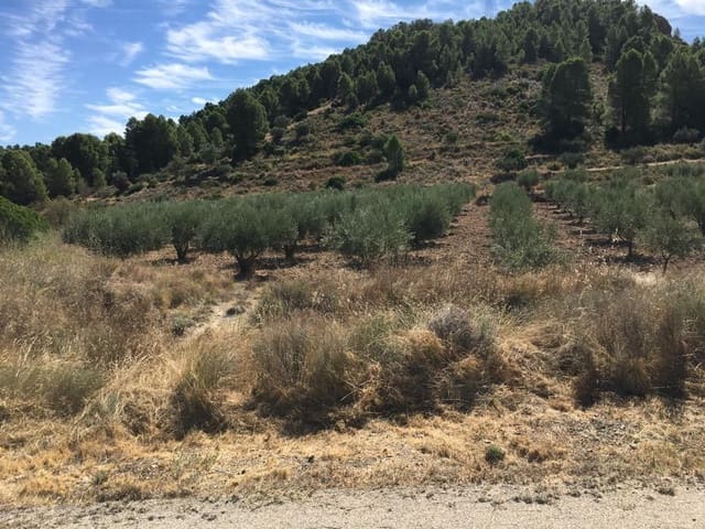 Finca/Casa Rural en Cofrentes en venta - 45.000 € (Ref: 9494982)