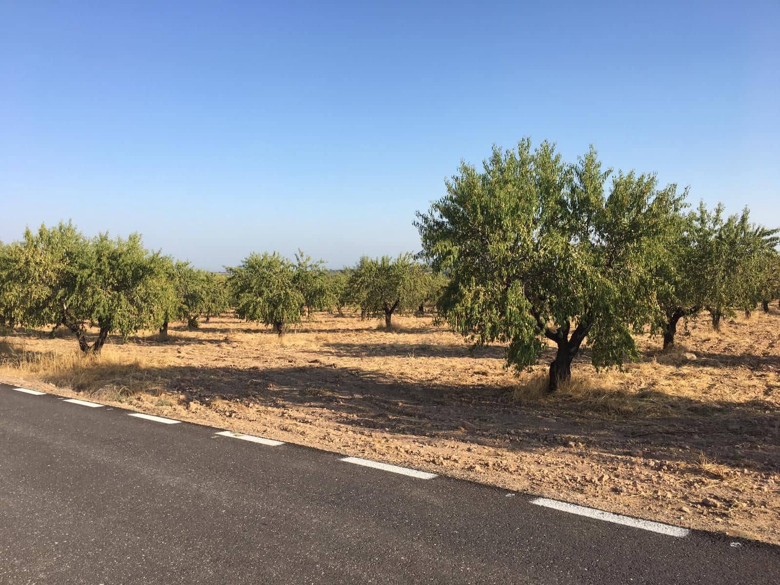 Finca/Hus på landet till salu i Murcia stad - 3 500 000 € (Ref: 9494984)