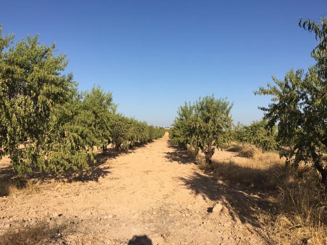 Finca/Hus på landet till salu i Vista Alegre, Murcia stad - 3 500 000 € (Ref: 9494984)