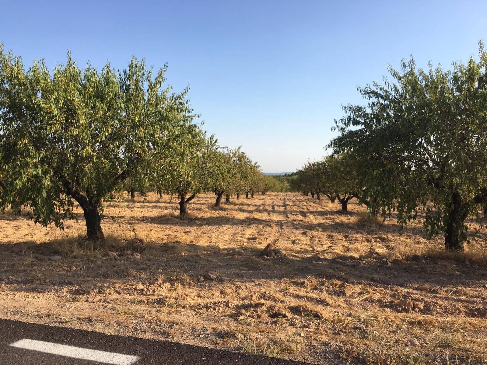 Finca/Hus på landet till salu i Murcia stad - 3 500 000 € (Ref: 9494984)